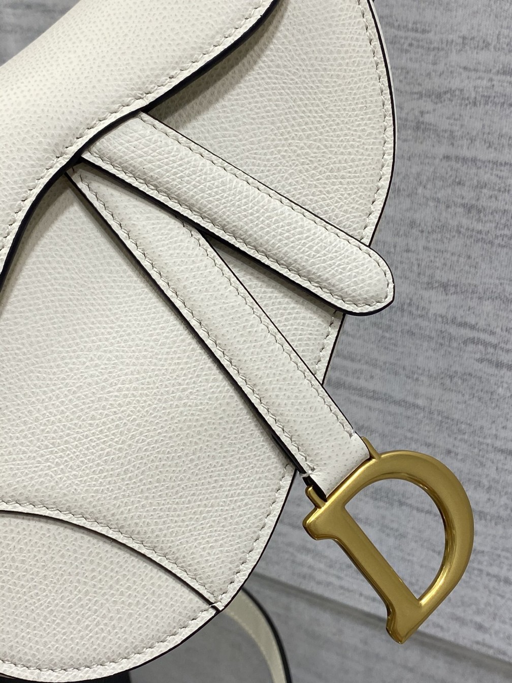 디올 saddle 미니 스트랩백