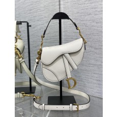 디올 saddle 미니 스트랩백